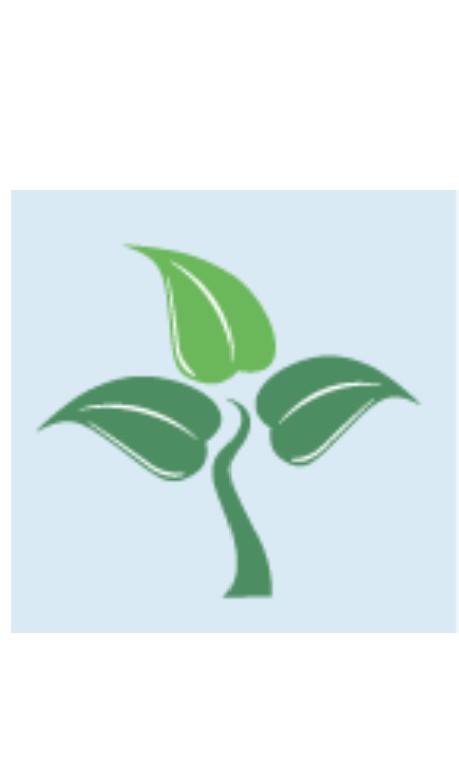 Duis at consectetur lorem donec